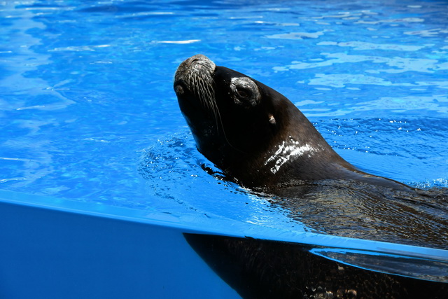 2021 08 06 Hotel Rio Calma Fuerteventura 149