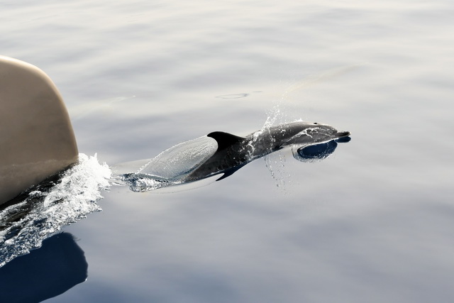 2018 09 30 Sdtirol Hotel Oswald von Wolkenstein 139