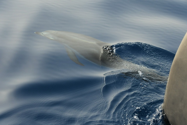 2018 09 30 Sdtirol Hotel Oswald von Wolkenstein 135