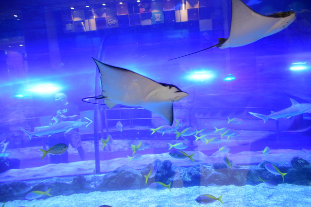 2020 10 06 Hotel Maximilian Meran 083