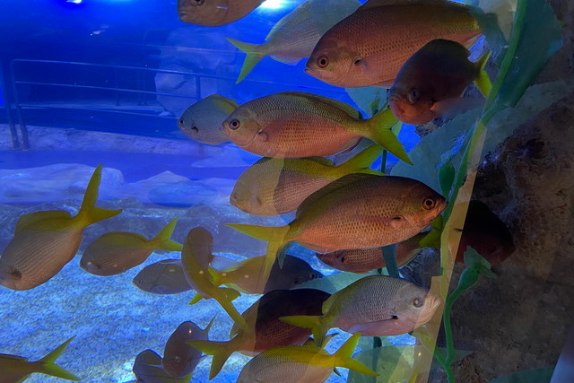 2020 10 06 Hotel Maximilian Meran 062