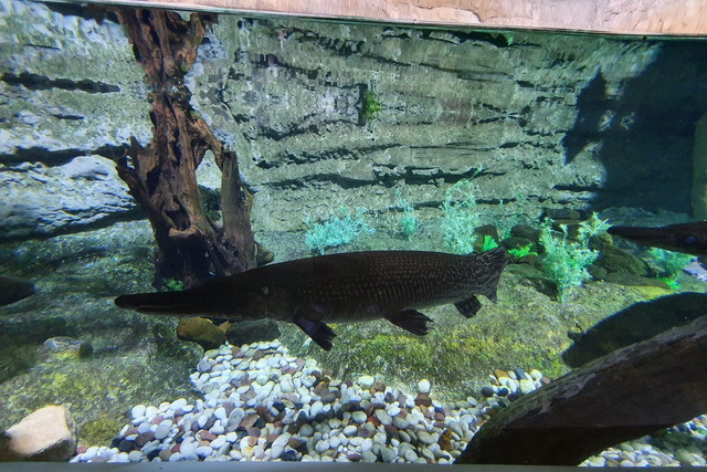 2020 10 06 Hotel Maximilian Meran 066