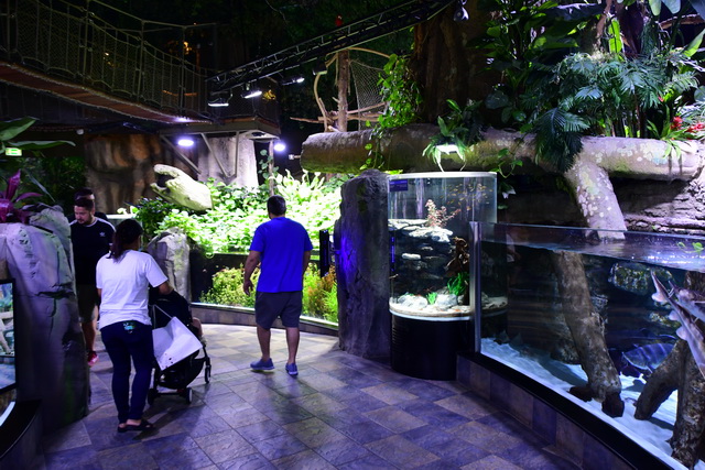 2018 06 26 Kreta Hotel Aphrodite Beach 045