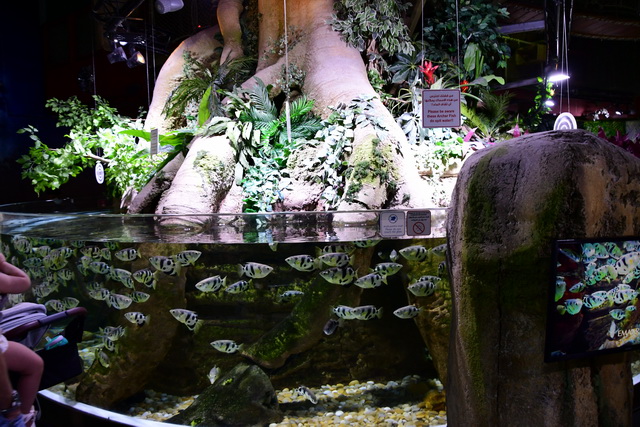 2022 04 08 AIDA Bella Transferfahrt Dubai Mallorca 101