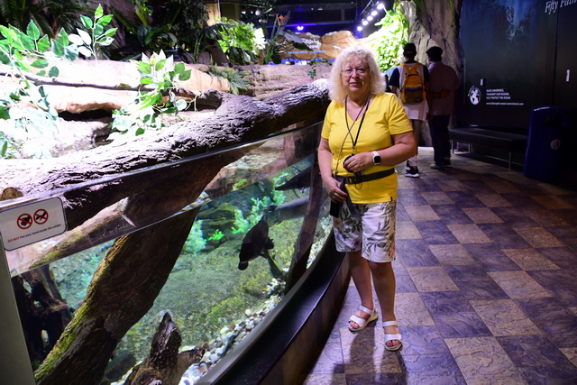 2022 04 08 AIDA Bella Transferfahrt Dubai Mallorca 103