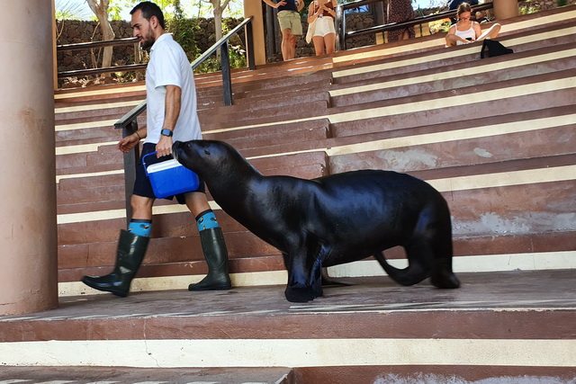 2020 10 06 Hotel Maximilian Meran 021