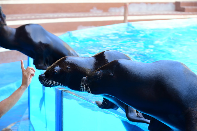 2022 07 29 Hotel R2 Rio Calma Fuerteventura 046