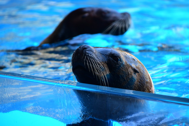 2022 07 29 Hotel R2 Rio Calma Fuerteventura 048