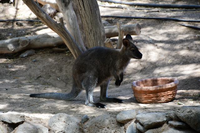 2022 07 29 Hotel R2 Rio Calma Fuerteventura 090
