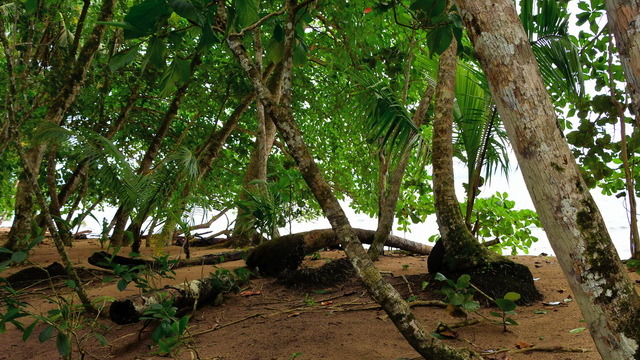 2020 10 06 Hotel Maximilian Meran 010