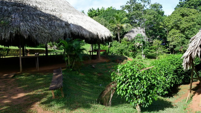 2022 11 15 Costa Rica 043