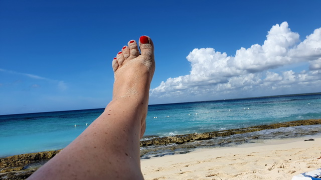 2022 11 19 Domp Rep 010