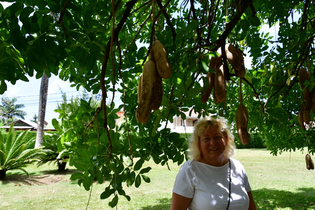 2020 10 06 Hotel Maximilian Meran 014