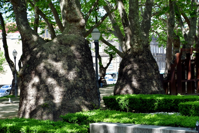 2022 04 08 AIDA Bella Transferfahrt Dubai Mallorca 139