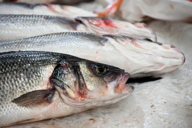 2023 04 10   2 Seetag 107