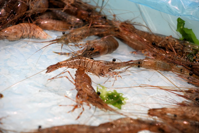 2023 04 10   2 Seetag 108