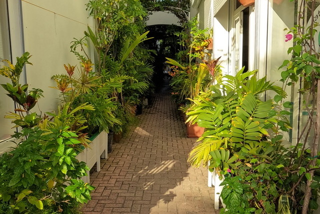 2023 11 04 Abendshow 006