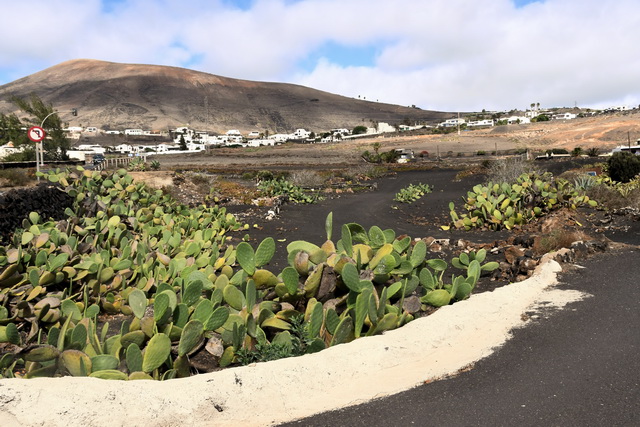 203 10 28 Lanzarote 046