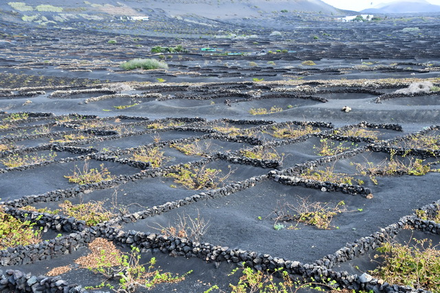 203 10 28 Lanzarote 057