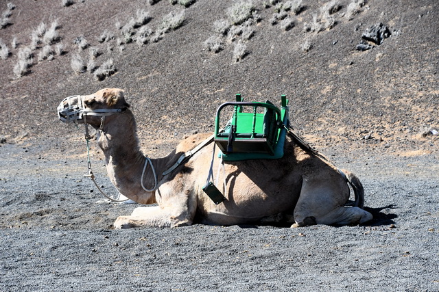 203 10 28 Lanzarote 091