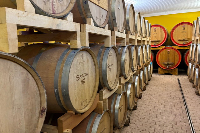 2024 04 27 San Pietro 068