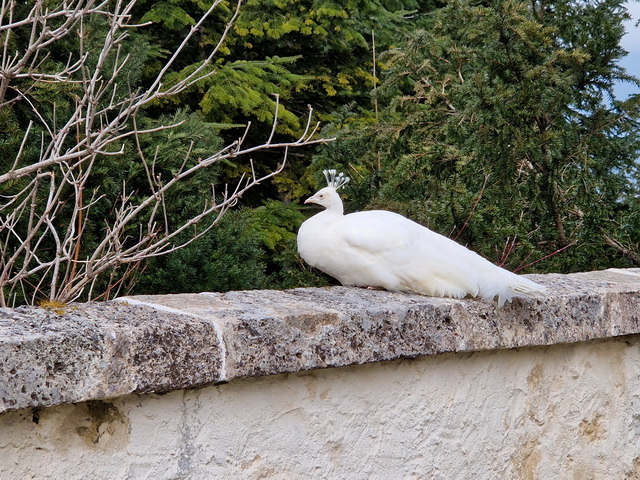 2024 02 28 Embach Sporthotel 057