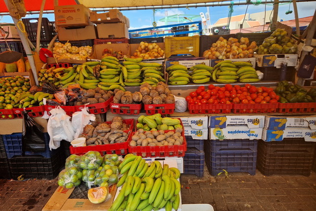 2025 04 01   Curacao   Willemstaa 045