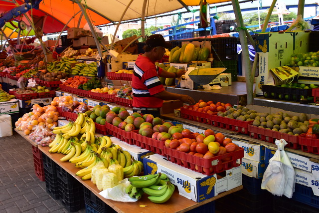 2025 04 01   Curacao   Willemstaa 050