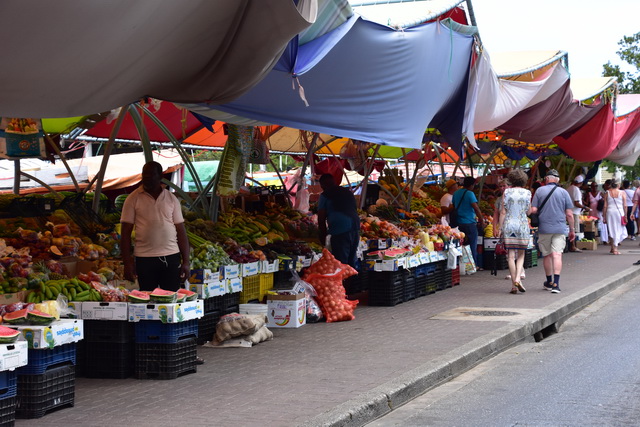 2025 04 01   Curacao   Willemstaa 052