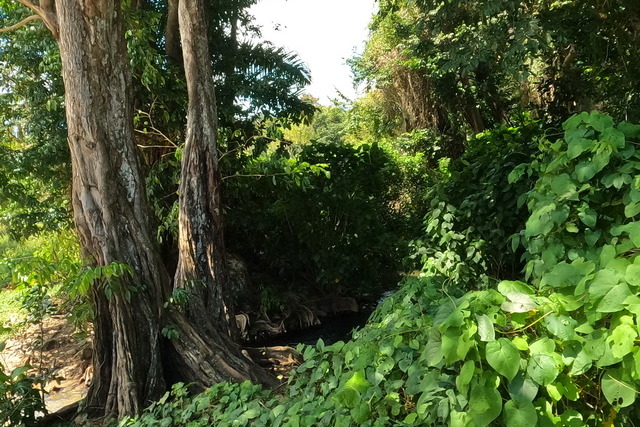 2025 04 01   Curacao   Willemstaa 069