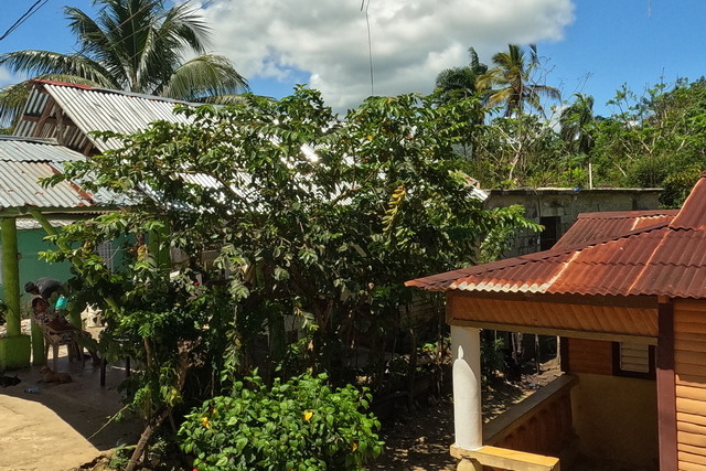 2025 04 01   Curacao   Willemstaa 073