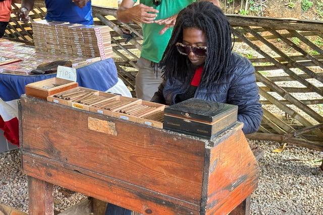 2025 04 06   DomRep   Samana 006