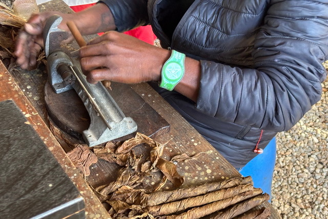 2025 04 06   DomRep   Samana 007