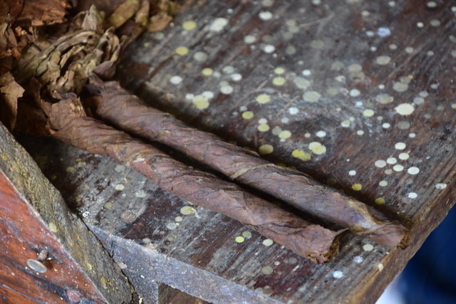 2025 04 06   DomRep   Samana 011