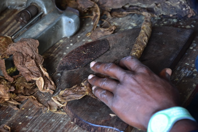 2025 04 06   DomRep   Samana 011