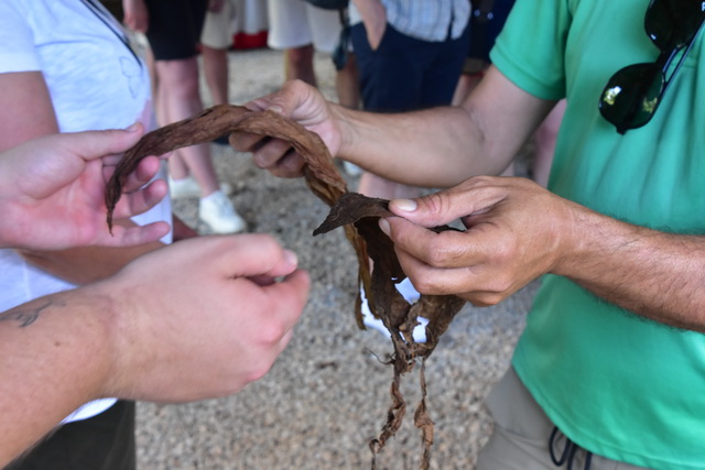 2025 04 06   DomRep   Samana 018