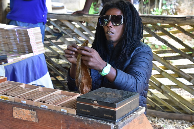 2025 04 06   DomRep   Samana 019