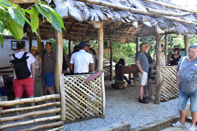 2025 04 06   DomRep   Samana 020