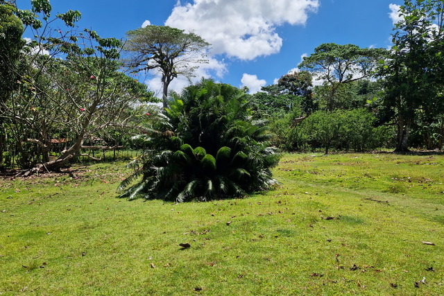 2025 04 06   DomRep   Samana 053