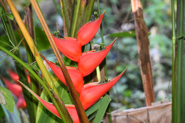 2025 04 06 DomRep Samana 085