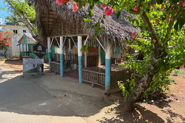 2025 04 06 DomRep Samana 103