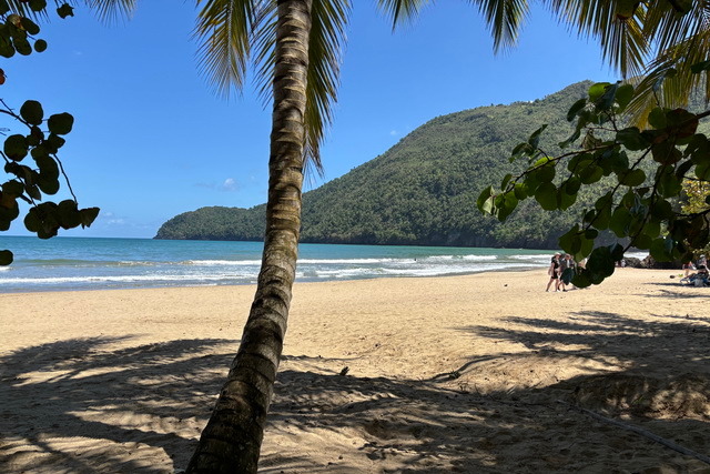 2025 04 06 DomRep Samana 128