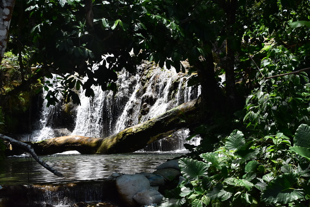 2025 04 06 DomRep Samana 167