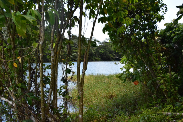 2025 04 06 DomRep Samana 169