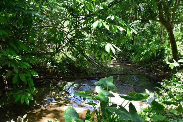 2025 04 06 DomRep Samana 178