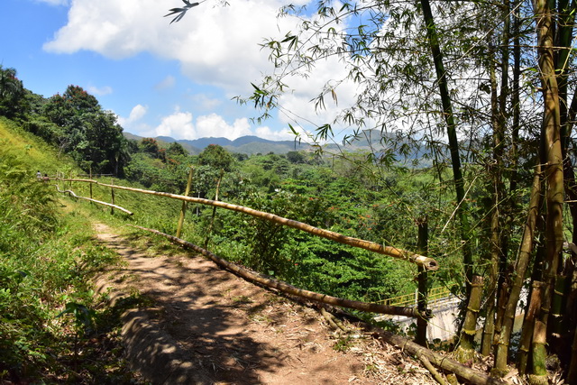 2025 04 06 DomRep Samana 179