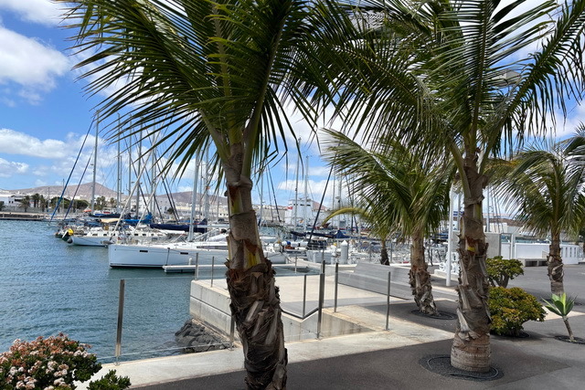 2025 04 16   Lanzarote 020