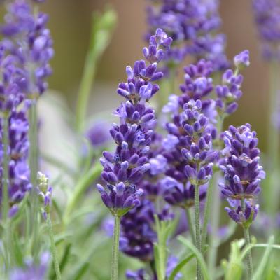 2012 20 Foto Workshop 091