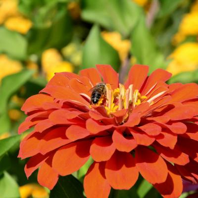 2014 06 25 Hotel Art Side Turkei 214