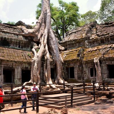 2015 04 23 Vietnam Und Kambodscha 620